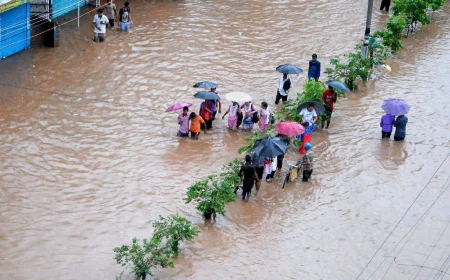 Assam Flood Death Toll Hits 68 as Over 524,000 Remain Affected